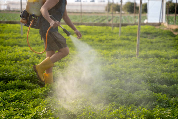 Best Exterminator Services  in Lenox, IA