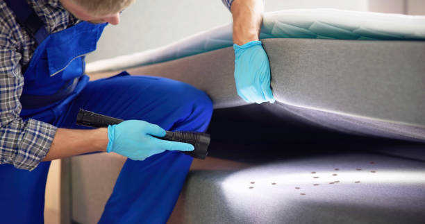 Best Affordable Pest Control Services  in Lenox, IA
