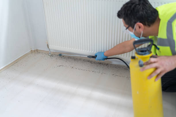 Best Pest Prevention Services  in Lenox, IA